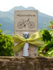 Dřevěná obálka na peníze „Nějaká kačka na kolo“ – pro cyklistu